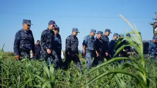 "Тіс іздері бар жүгері сараптамаға жіберілді". Қостанай облысында 5 жасар қызды іздеу жалғасып жатыр