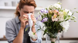 Маусымдық аллергиямен қалай күресуге болады? ДСМ кеңесі