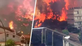 Өрт қонақүйге жақындады: танымал курортта туристер эвакуацияланды