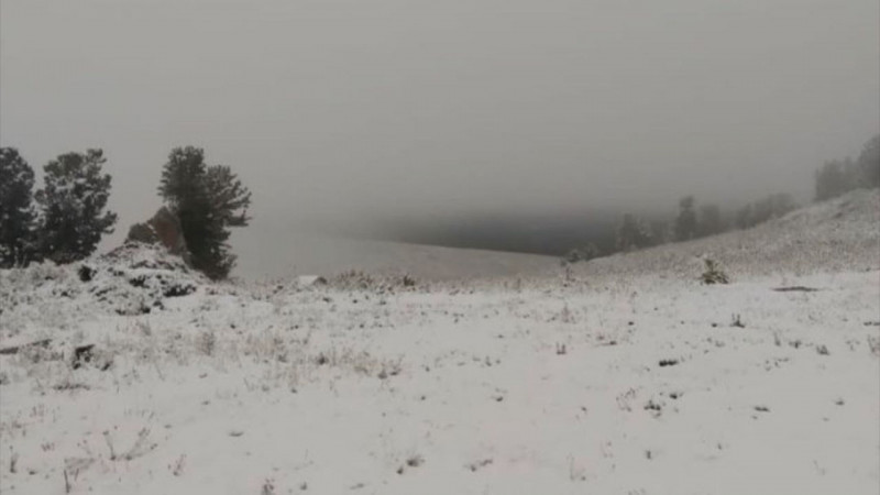 Фото:instagram.com/ridder.city