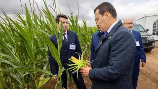 Смайылов Павлодардың айналасына жасыл белдеу құруды ұсынды