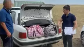 Қарағандыда ұсталған қылмыстық топтан киіктің 700-ден аса мүйізі тәркіленді