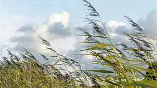 Қазақстанның бірнеше өңірінде ауа райына байланысты ескерту жарияланды