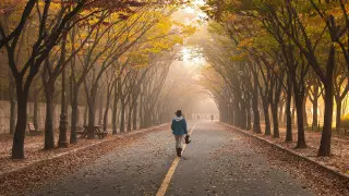 АҚШ-тағы Йеллоустон саябағында адам аяғы табылды