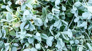 Қазақстанда алдағы күндері ауа райы қандай болады?