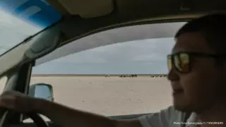 30 тамызда Қазақстан-Қытай шекарасындағы өткізу пункттері жұмыс істемейді