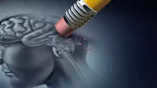 Аустралиялық әйел өз есімін ұмыта бастаған: бәрі үйдегі зең салдарынан