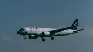 Air Astana құстардың ұшаққа соғылуының 100 жағдайын тіркеді