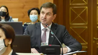 Перуашев депутат Линниктің отставкаға кету себебі туралы айтты