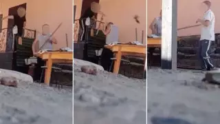 Алматы облысындағы асырап алынған балалардың оқиғасы: жаңа деректер айтылды