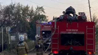 Қостанай облысында орман қорының 43 мың гектарын өрт шарпыды