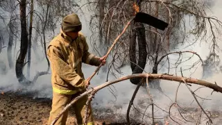 Қостанай облысында жергілікті ауқымдағы ТЖ режимі жарияланды