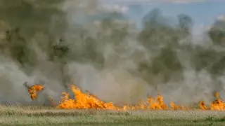 Қостанай облысындағы өрт агроөнеркәсіп кешеніне айтарлықтай зиян келтірген жоқ - АШМ