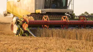 Өрт Қазақстандағы егін жинау науқанына әсер етті ме? АШМ жауабы