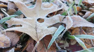 Үсік, жауын-шашын, аяз. Демалыс күндері ауа райы қандай болады?