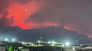 Жетісу облысы тауларындағы өрт аумағы екі есеге ұлғайды