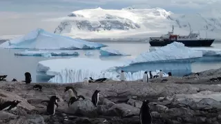 Антарктидаға экспедицияның қанша тұратыны белгілі болды