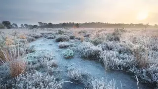Қар аралас жаңбыр, аяз: Алдағы үш күнге арналған ауа райы