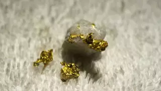 Ақмола облысында алтын өндіретін жасырын цех табылды