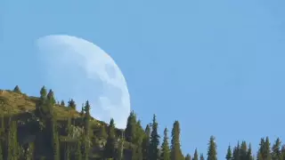 "Шексіз қарауға болады". Желіде Алматы маңындағы шатқалда түсірілген видео тарады