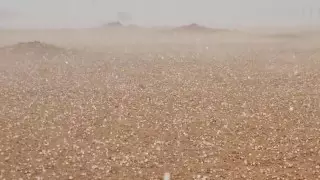 БАӘ-де 40 градус ыстықта бұршақ жауды