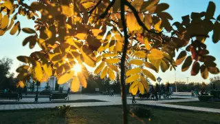 Қазақстанда алдағы күндері күн жылынады