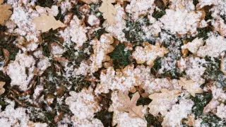 Тұман түсіп, үсік жүреді. Бүгінгі ауа райы болжамы