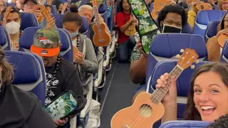 Гавайға ұшқан барлық жолаушыларға ерекше сыйлық берілді