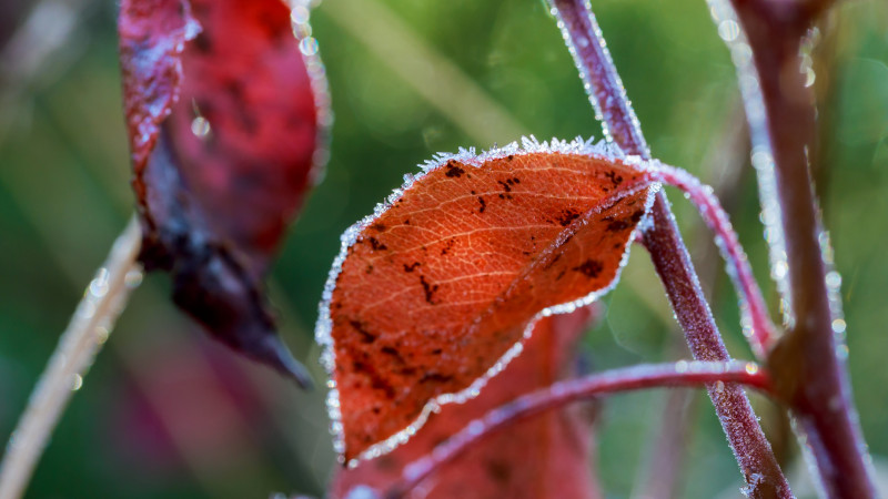 Фото: elements.envato.com
