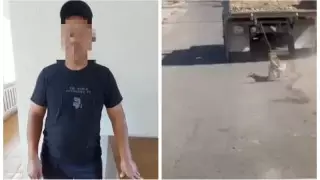 Талғар тұрғыны итті КамАЗ-бен не себепті сүйрегенін түсіндірді