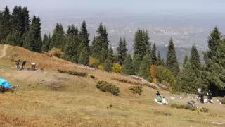 "Сіз неге тауға барасыз?"Алматылықтар көк жайлаудағы туристердің әрекетіне наразы болды