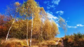 Қазақстанда алдағы күндері ауа райы қандай болады?