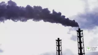 Өскеменде тамақтың химиялық күйігін ресми диагноз деп тану ұсынылды