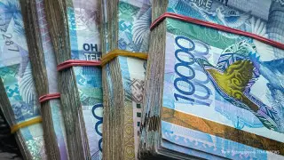 Депутат шағын несиеге жауапты шенеуніктерді тексеруге шақырды