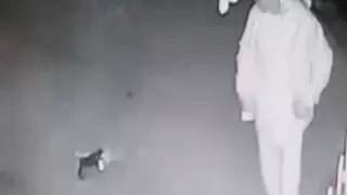 Ақтауда ер адамның мысықтың басына секірген сәті видеоға түсіп қалған