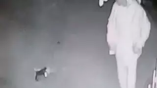 Ақтауда мысықтың басына секірген ер адам қамауға алынды