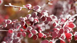 Қазақстанда алдағы үш күнде ауа райы қандай болады?