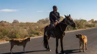 Ауыл тұрғындары қала тұрғындарынан ұзақ өмір сүреді - министрлік