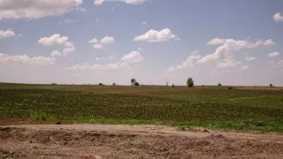 33 жер учаскесі мемлекет меншігіне қайтарылды