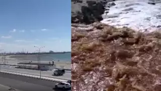 Каспий теңізі суының түсі өзгеріп жатқаны видеоға түсірілді