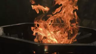 Табиғат аясында дайындауға болатын үш тағам