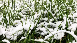 Демалыс күндері ауа райы қандай болады?