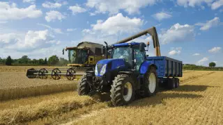 Мемлекет басшысы диқандарды егін жинау нәтижесімен құттықтады