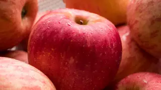 Алматының алмасы ұлттық брендке айналуы мүмкін - Тоқаев