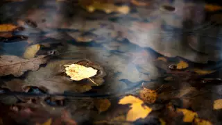 Жел және көктайғақ. Алдағы күндері ауа райы қандай болады?