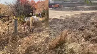 Алматы әкімі ескі зират орнына салынып жатқан тұрғын үй кешеніне қатысты пікір білдірді