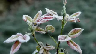 Тұман, жел, көктайғақ. Қазақстанның 11 өңірінде ауа райына байланысты ескерту жарияланды