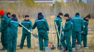 Ақтөбе облысының әкімі жалпықалалық ағаш отырғызу акциясына қатысты