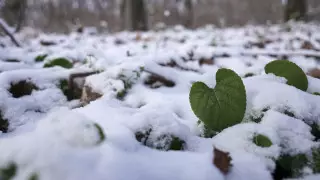 25 градусқа дейін аяз: қарашада ауа райы қандай болады?