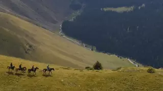 Журналист Алматы облысының сұлулығын көрсетті